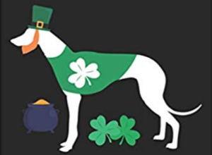 St Patrick's Day Greyhound