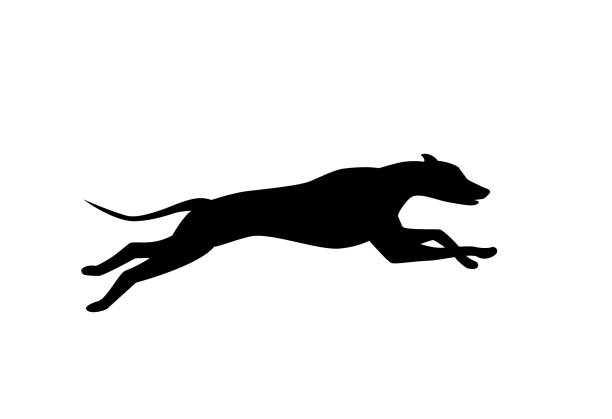 running dog silhouette in black color vector