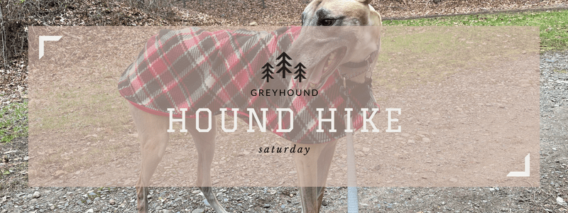 Hound Hike Header 800 x 300