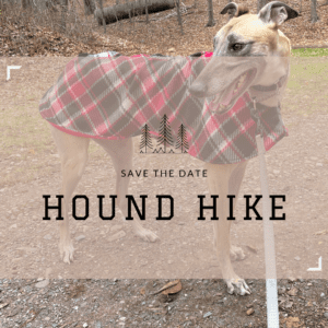 Save the date for a hound hike