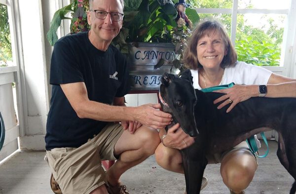 Home - Connecticut Greyhound Adoption