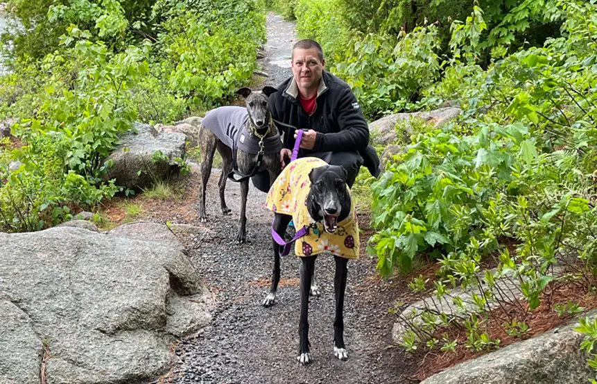 Two greyhounds and their owner hiking on a trail