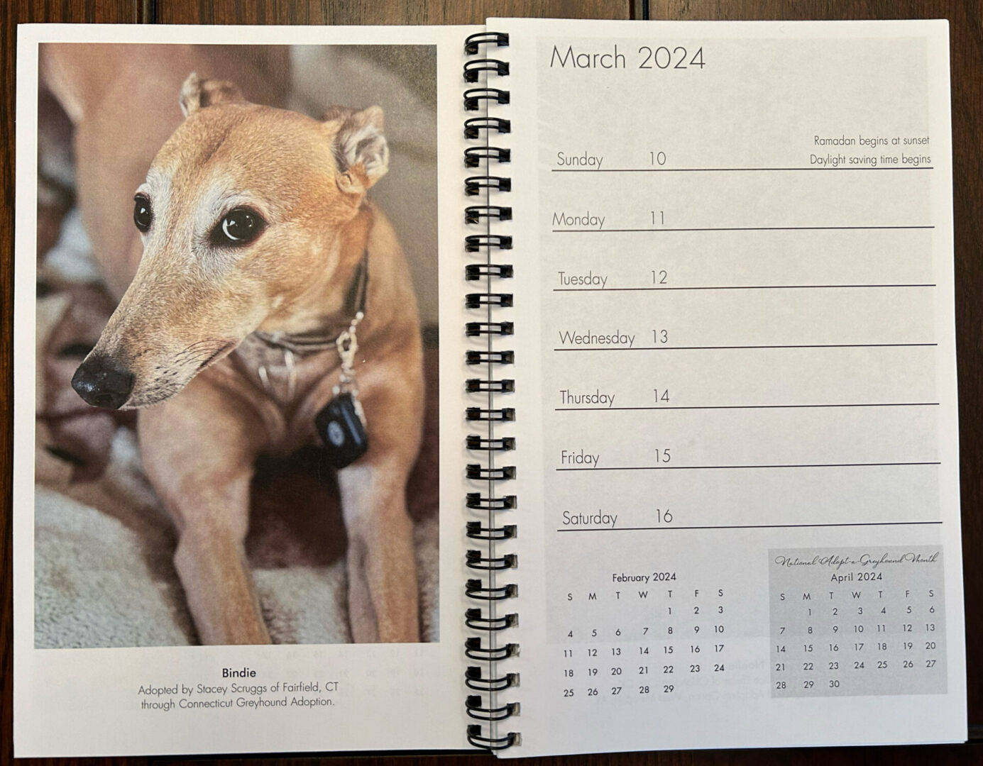 Celebrating Greyhounds 2024 Weekly Calendar Connecticut Greyhound