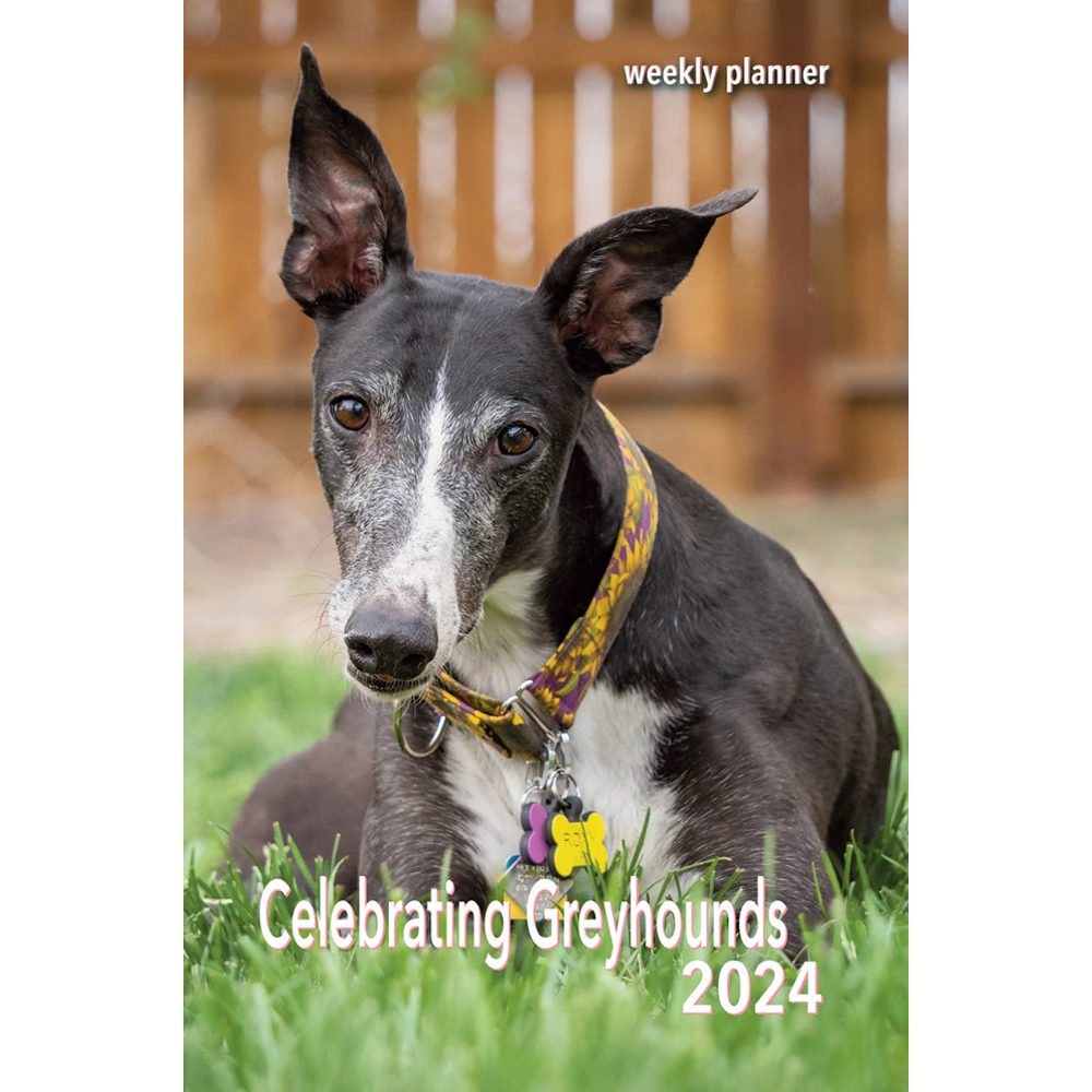 Celebrating Greyhounds 2024 Weekly Calendar Connecticut Greyhound