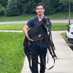 a black greyhound named spar