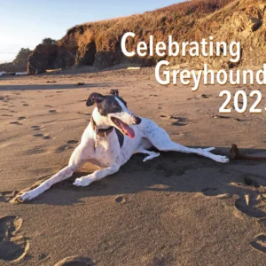 2025 greyhound calendar cover