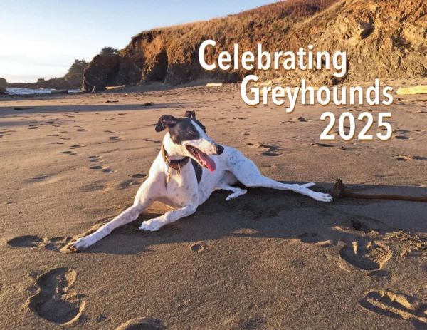 2025 greyhound calendar cover