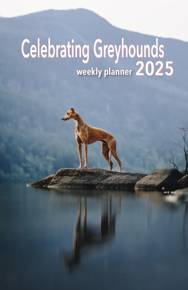 2025 weekly calendar cover